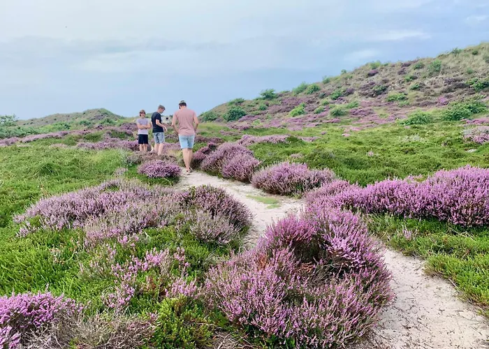 Kust Geluk Lägenhet Schoorl