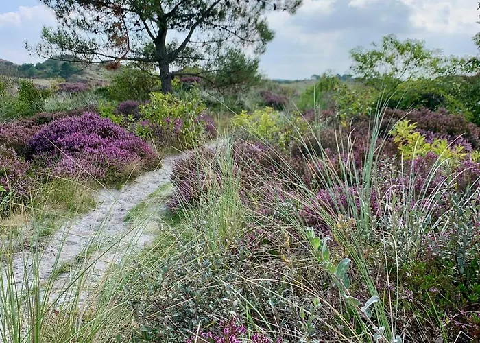 Lägenhet Kust Geluk Schoorl