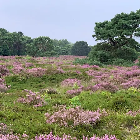 Appartement Kust Geluk Schoorl